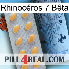 Rhinocéros 7 Bêta 44